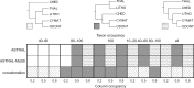 <sc>Fig</sc>. 3.