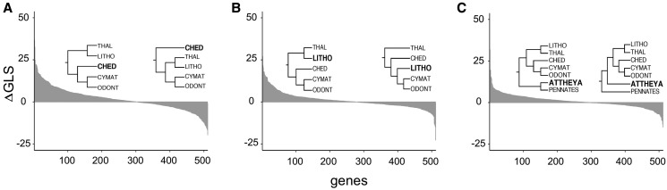 Fig. 6.