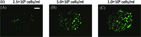 FIG. 2.