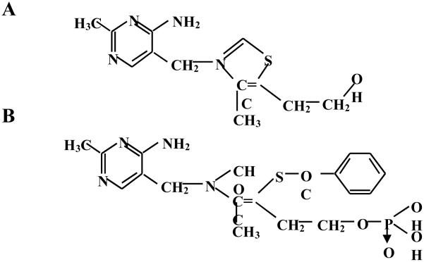 Fig.1