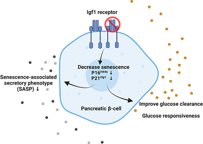 Figure 5