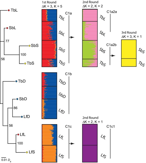 Figure 5