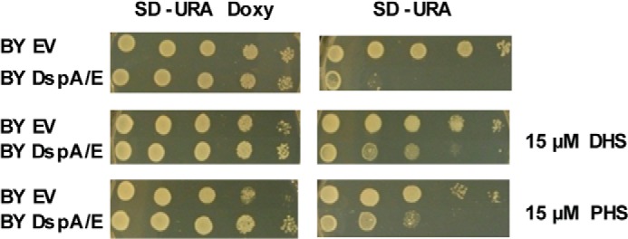 FIGURE 3.