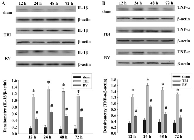 Figure 12