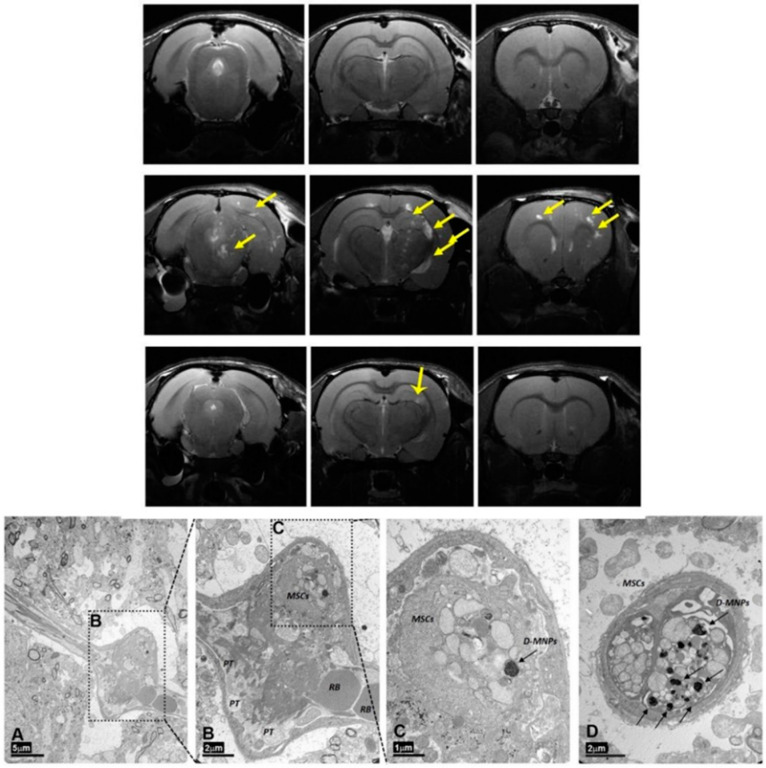 Figure 12