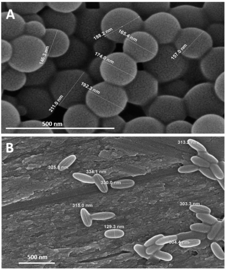 Figure 10