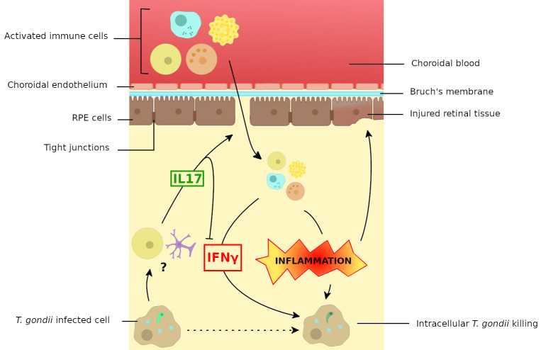 Fig 3