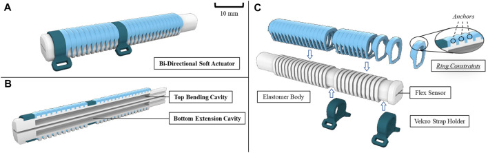 FIGURE 2