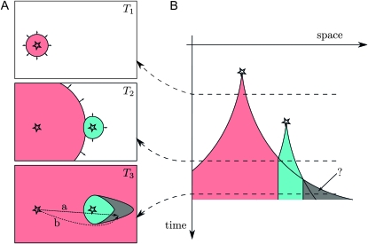 Figure 2.—