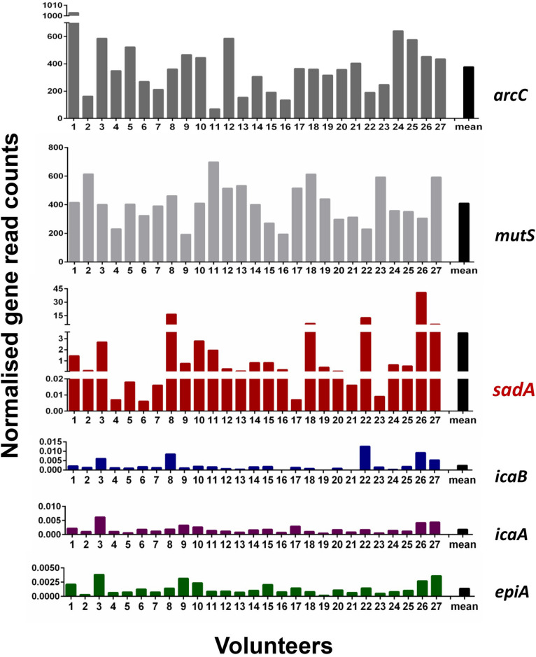 FIGURE 2