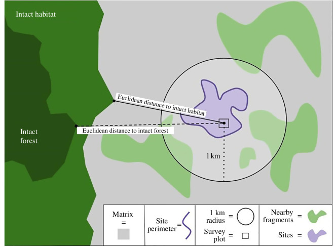 Landscape metrics used as predictor variables in our models.