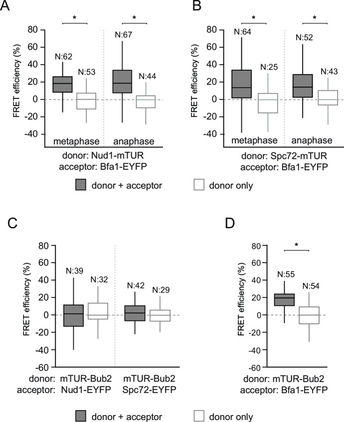 Figure 2—figure supplement 1.