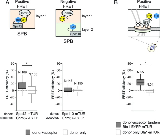 Figure 1—figure supplement 2.