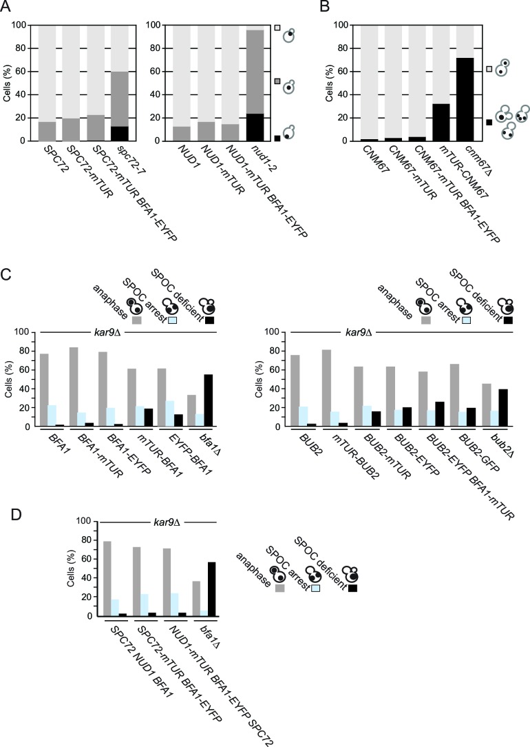 Figure 1—figure supplement 3.