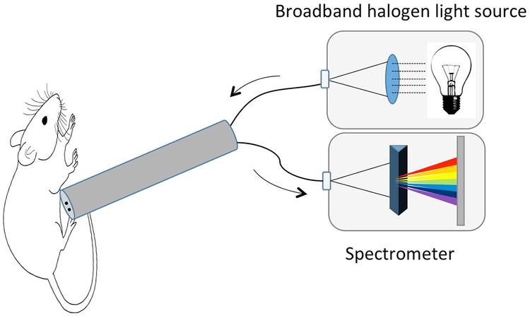 Fig. 1.