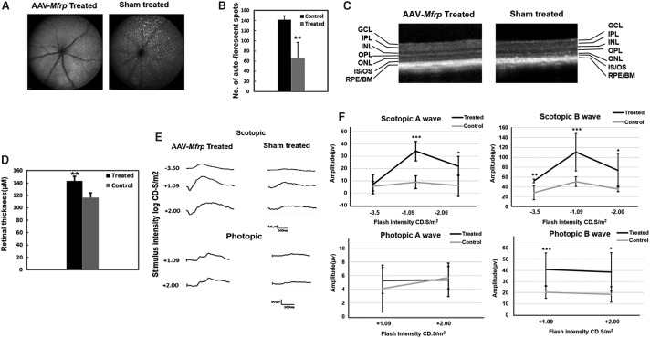 Figure 10.