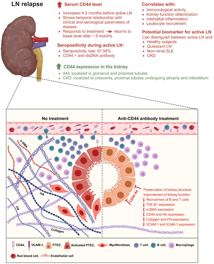 Figure 6