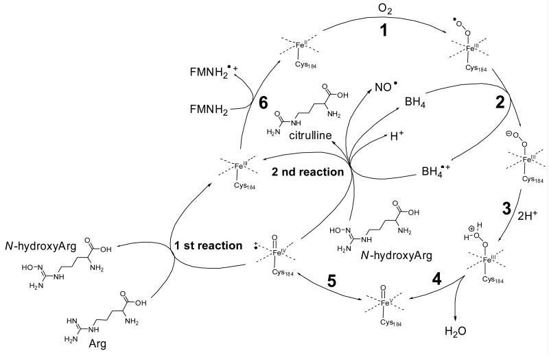 Fig. 3