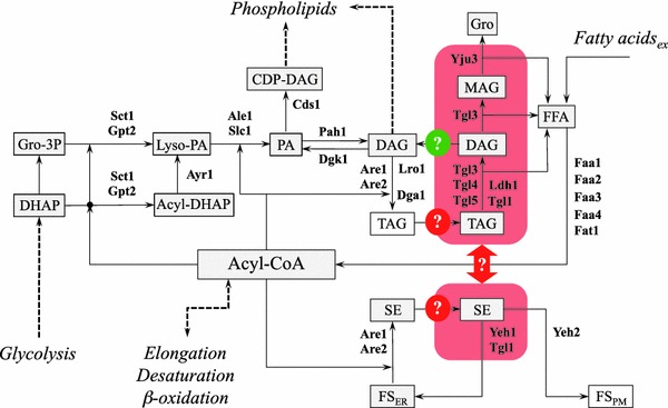 Fig. 2