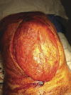 Figure 1: