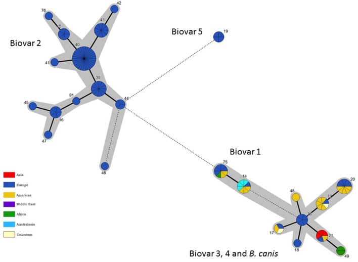 Figure 8