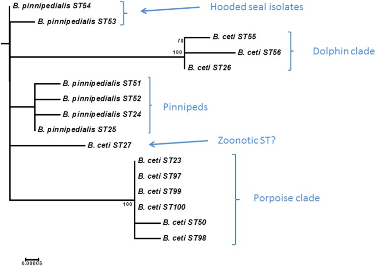 Figure 9