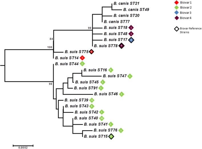 Figure 7