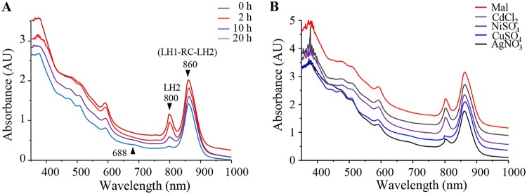 FIG 3