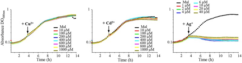 FIG 1