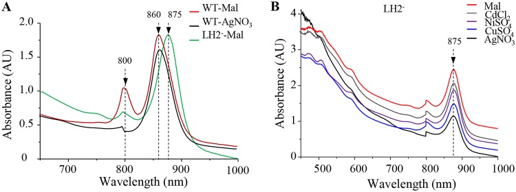 FIG 4