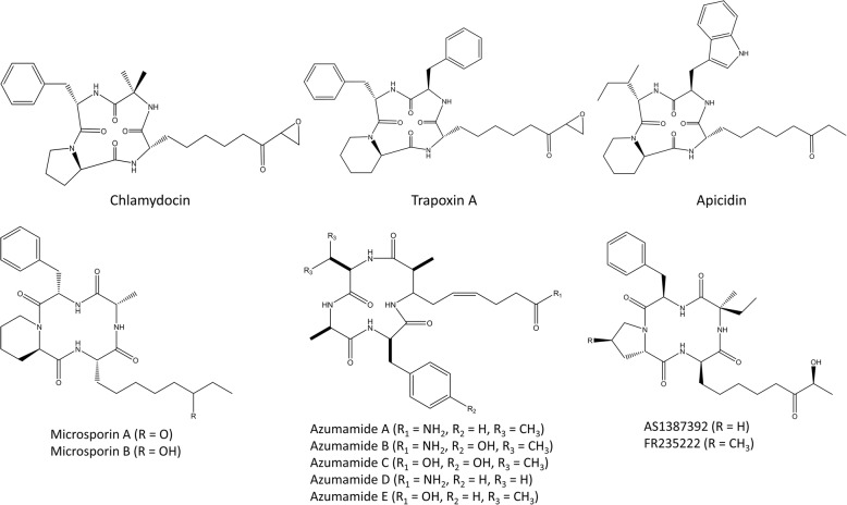 Fig. 3