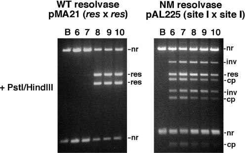 Figure 5.