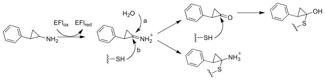 Scheme 11