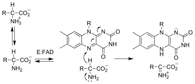 Scheme 7