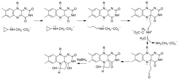 Scheme 9