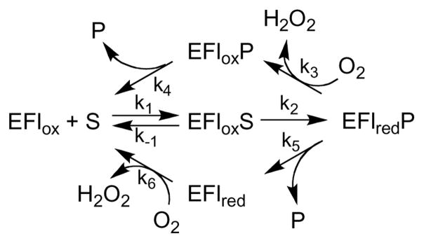 Scheme 2