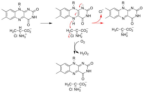 Scheme 5