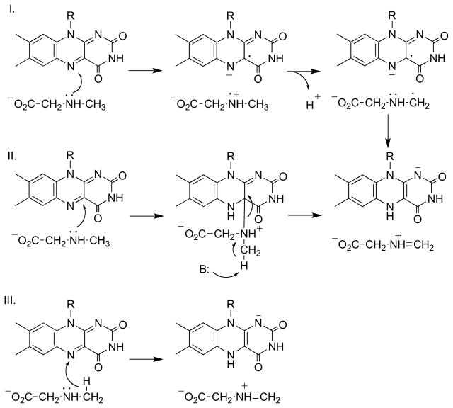 Scheme 8