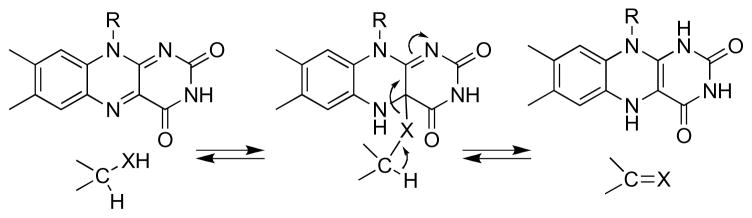 Scheme 3