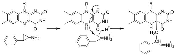 Scheme 16