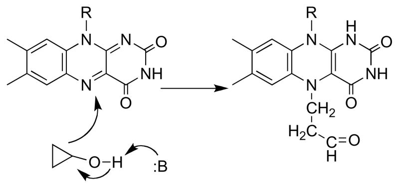 Scheme 15