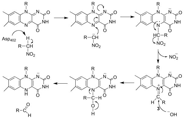 Scheme 20