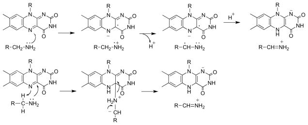 Scheme 10