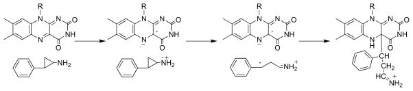 Scheme 12