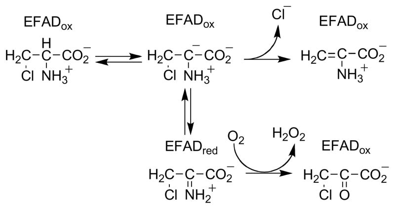 Scheme 4