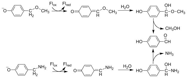 Scheme 19