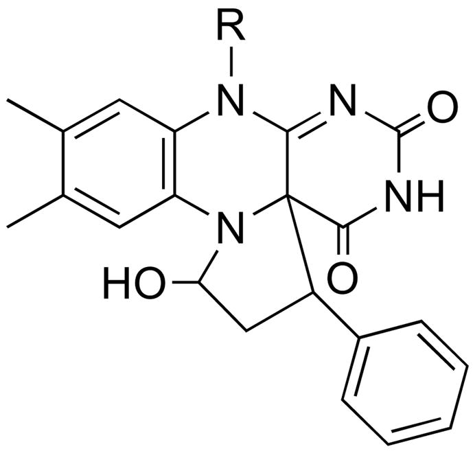 Scheme 18