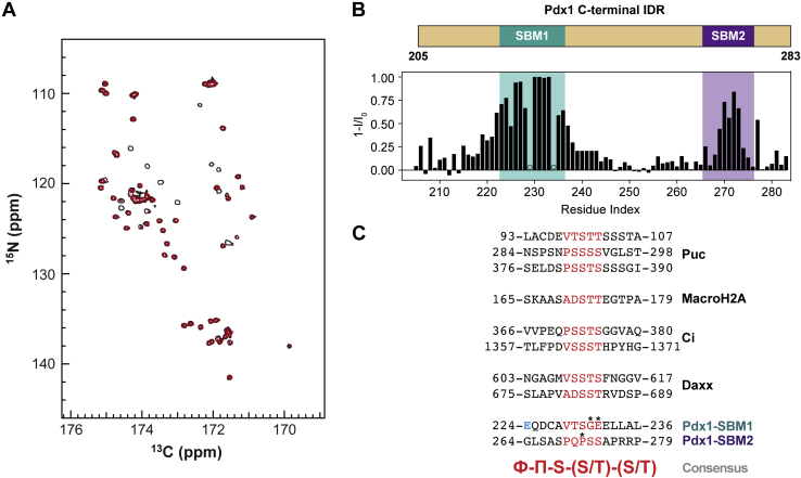 Figure 3