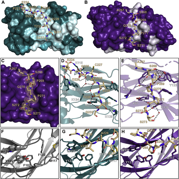 Figure 4