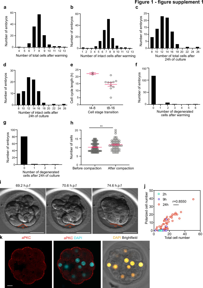 Figure 1—figure supplement 1.